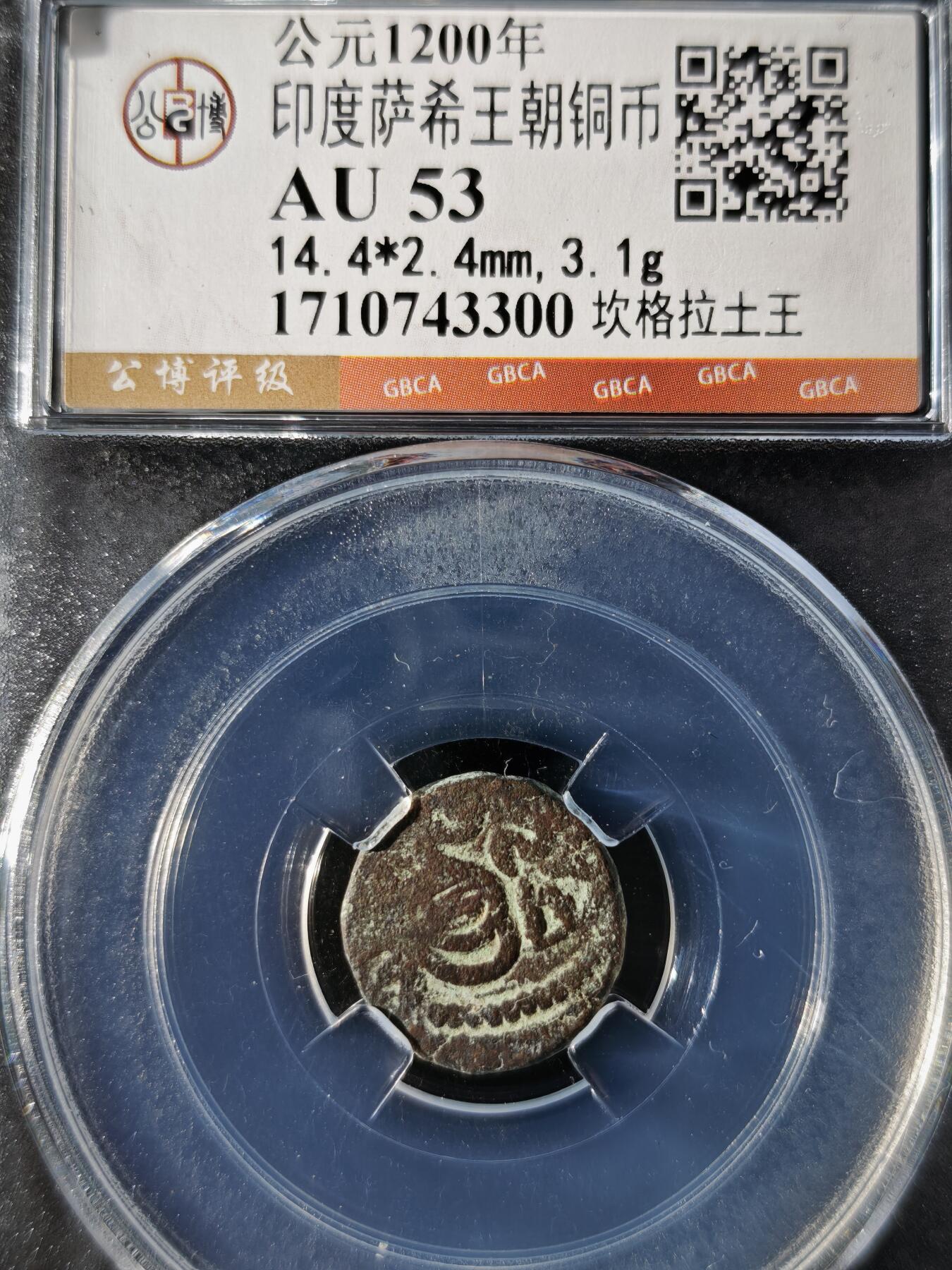 119期新疆红钱粟特钱币丝路钱币专场 印度萨希王朝铜币