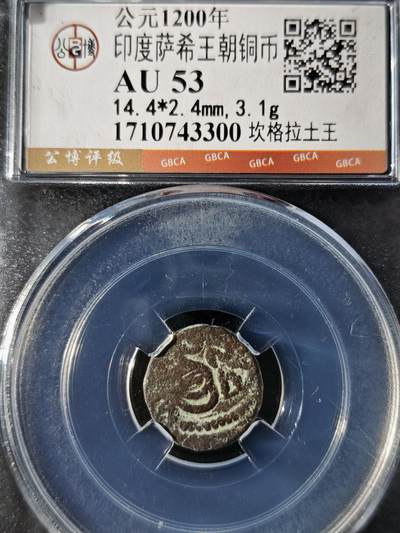 119期新疆红钱粟特钱币丝路钱币专场 - 印度萨希王朝铜币