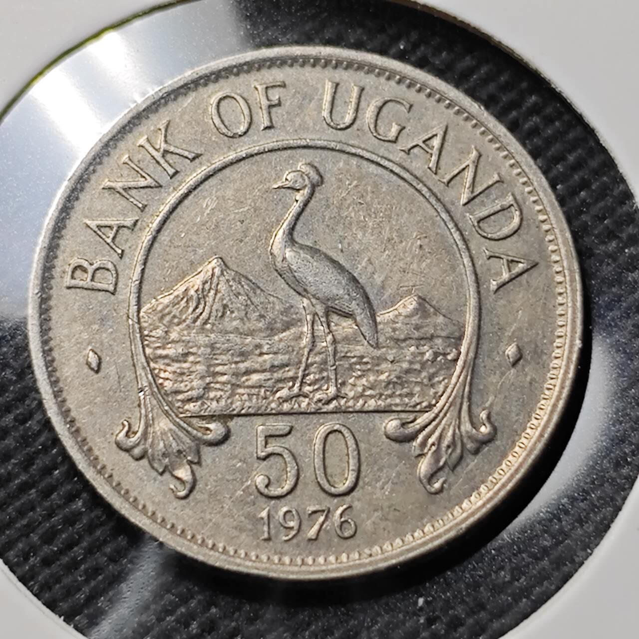 KK钱币收藏小铺   第403期 2月预留时间 周末发货