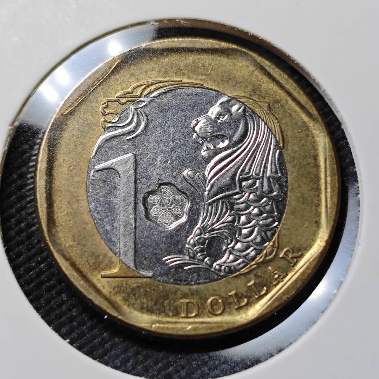 KK钱币收藏小铺   第403期 2月预留时间 周末发货