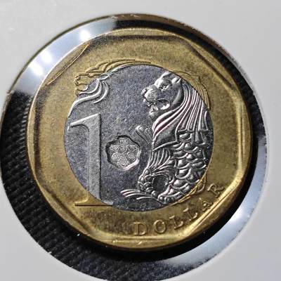 KK钱币收藏小铺   第403期 2月预留时间 周末发货 -  新加坡1元