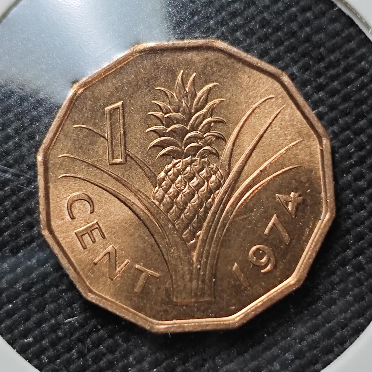 KK钱币收藏小铺   第403期 2月预留时间 周末发货  斯威士兰1分铜币 好品