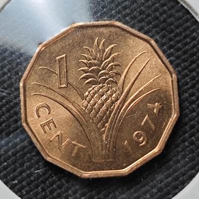 KK钱币收藏小铺   第403期 2月预留时间 周末发货 -  斯威士兰1分铜币 好品