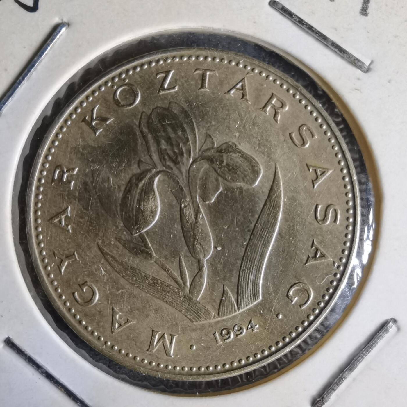 沼泽如烟--第1014场