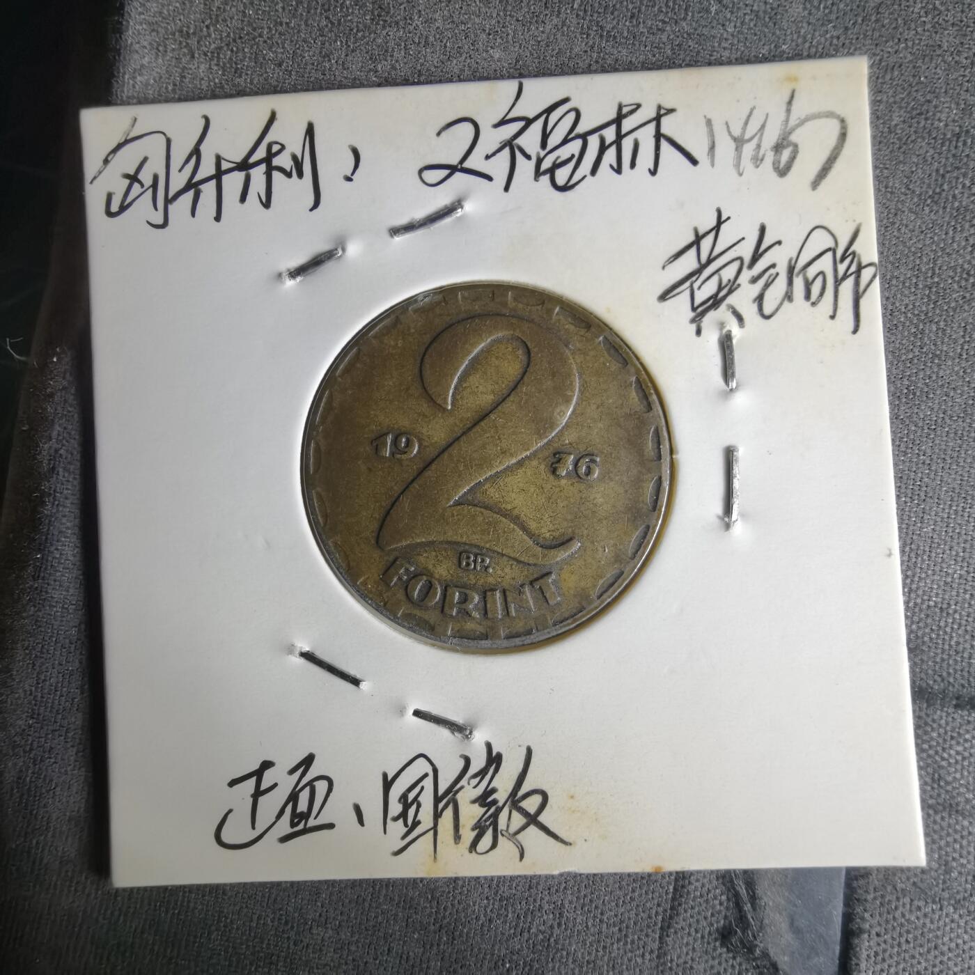 沼泽如烟--第1014场