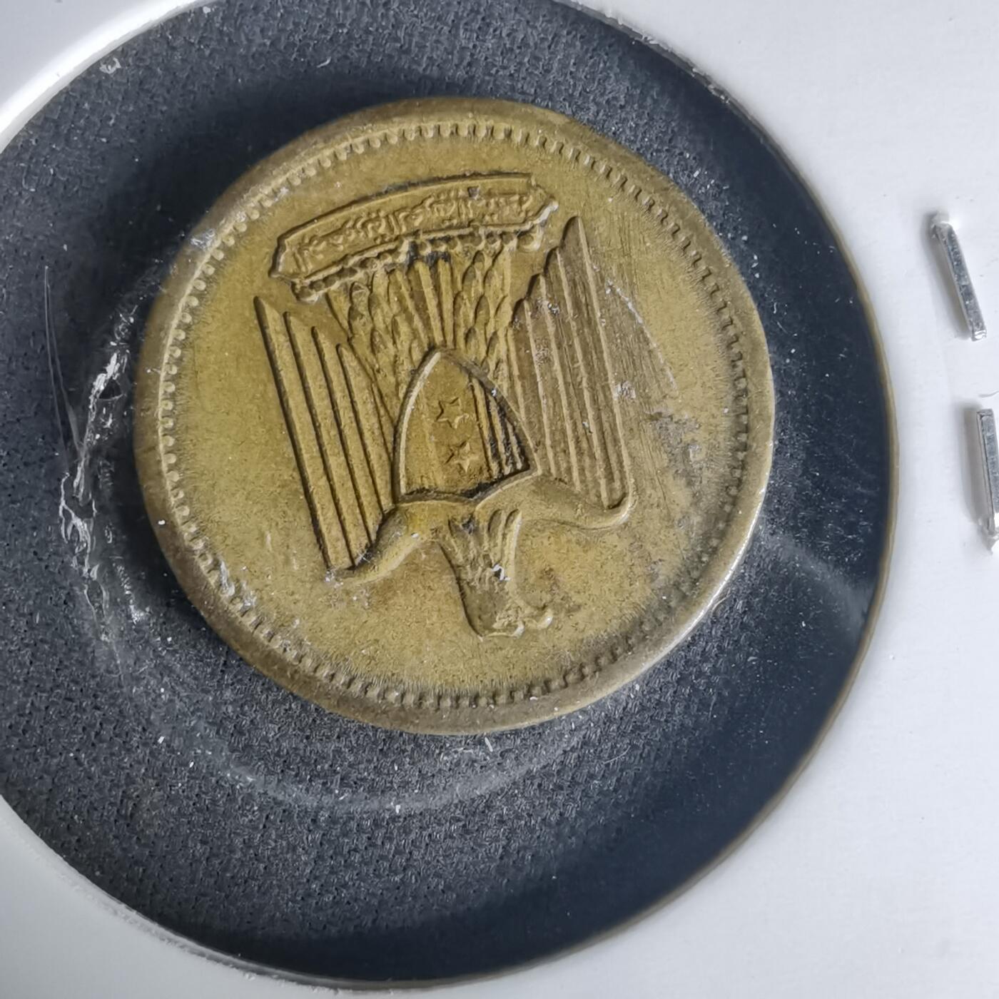 沼泽如烟--第1015场 埃及