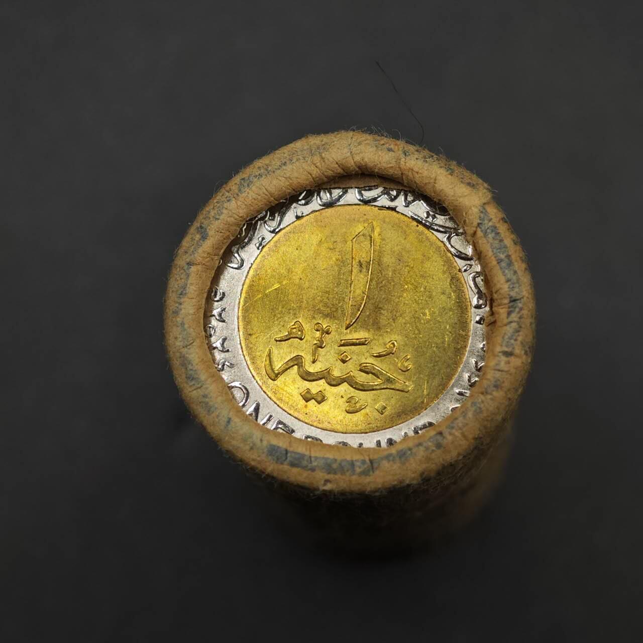 【淘币小摊】实时拍第八百七十七拍   散币场    每周一统一发货 埃及1镑一卷25枚