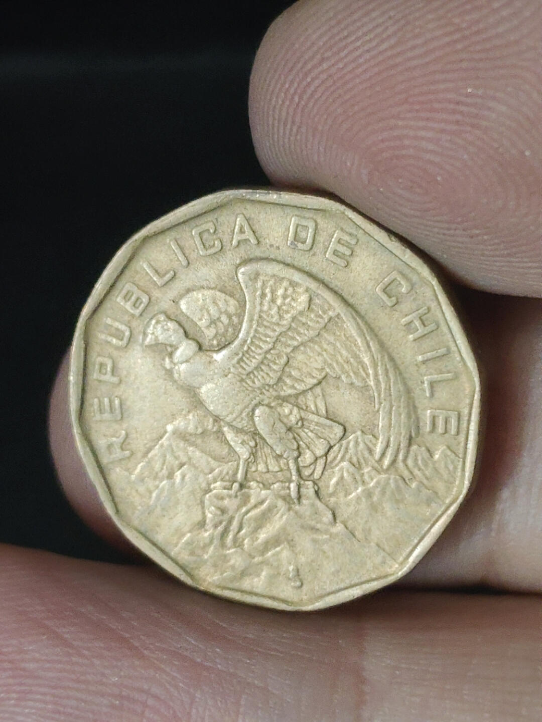 猩哥外币小铺➨【第219场】 智利