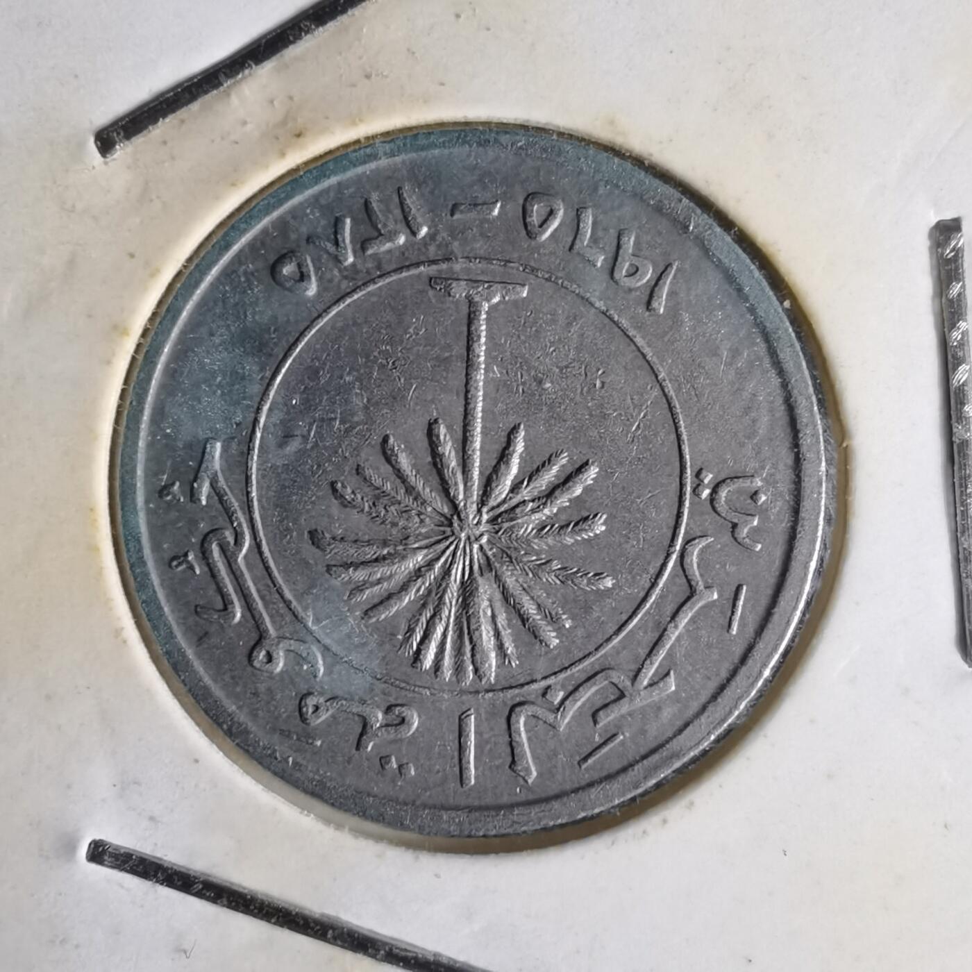 沼泽如烟--第1014场