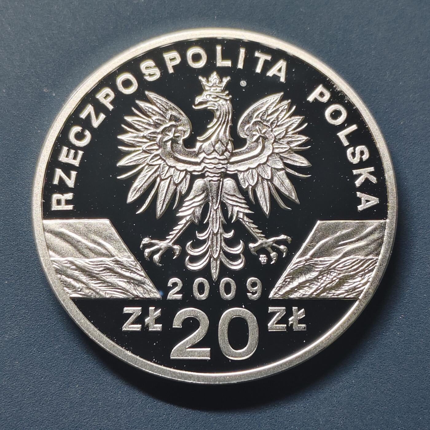 【全场包邮】纯粹捡漏拍511场 波兰2009年20兹洛提红皮书动物系列欧洲绿蜥蜴精制纪念银币【38.61毫米28.28克92.5%】