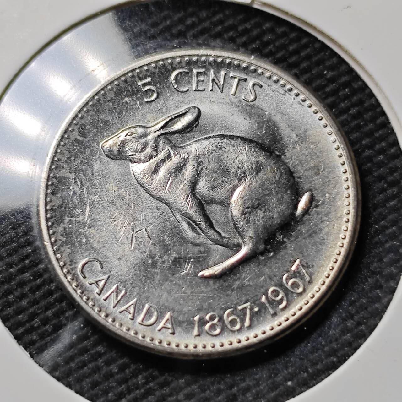 KK钱币收藏小铺   第402期 2月预留时间 周末发货