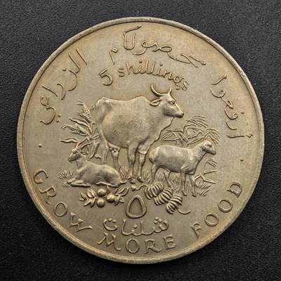  【淘币小摊】限时拍第八百七十九拍   克朗币邮币封场    每周一统一发货 - 索马里1970年5先令fao纪念币