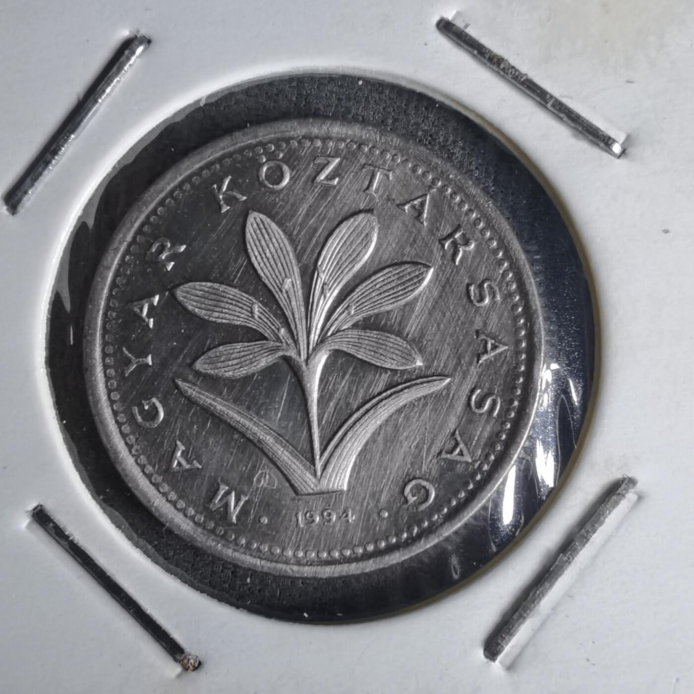 沼泽如烟--第1014场