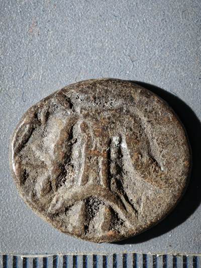 119期新疆红钱粟特钱币丝路钱币专场 - B寄多罗王朝铜币