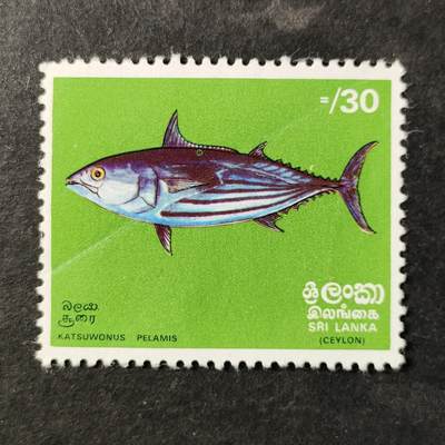 ↓君缘收藏755期☞钱币邮品↓无佣金、可寄存、满30元包邮  - 斯里兰卡邮票，1972年海洋鱼类·鲣鱼邮票