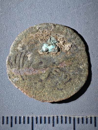 119期新疆红钱粟特钱币丝路钱币专场 - D察合台汗国铜币