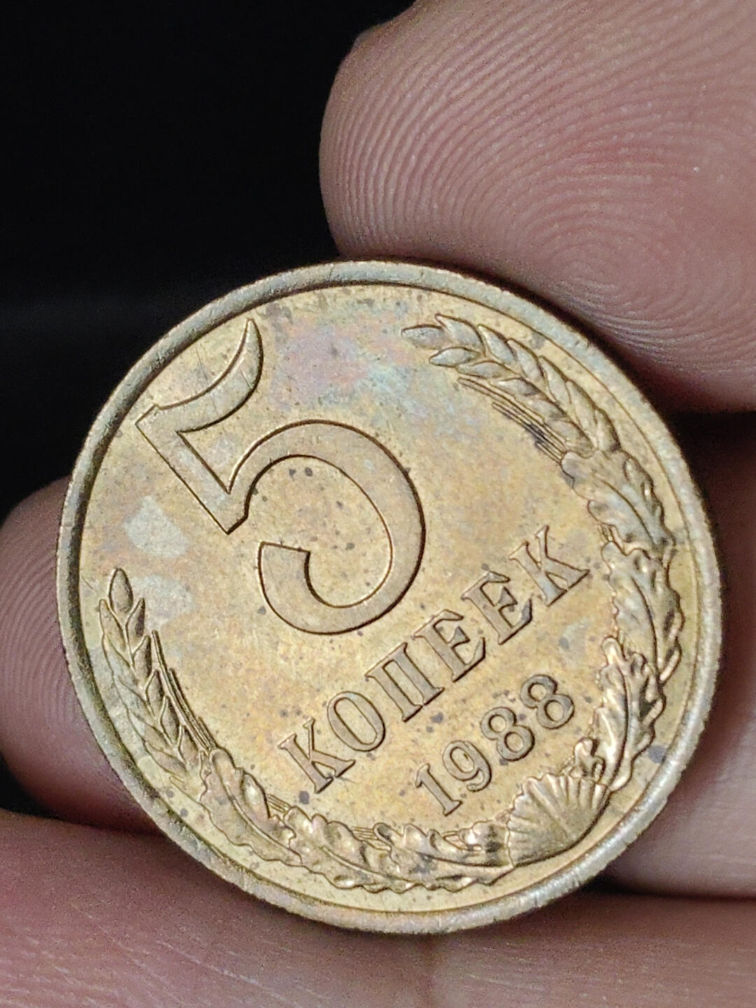 猩哥外币小铺➨【第219场】 苏联