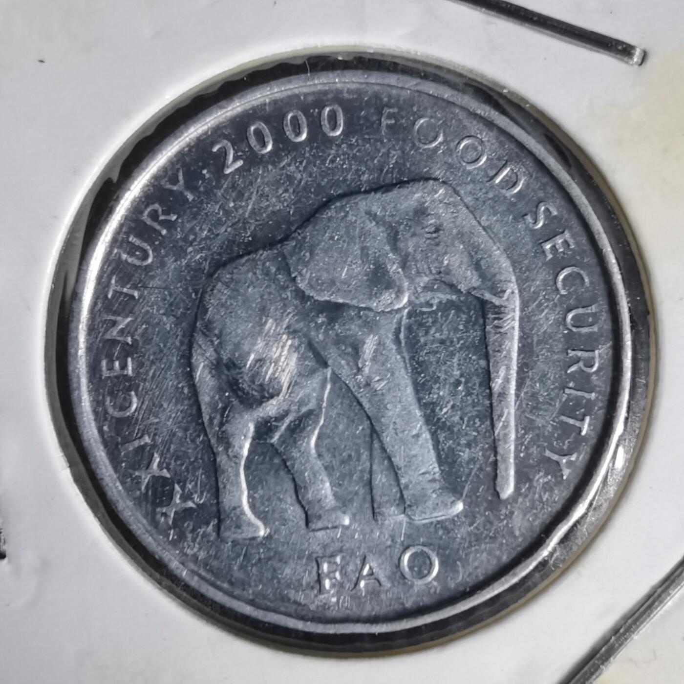 沼泽如烟--第1014场 索马里2000年5先令