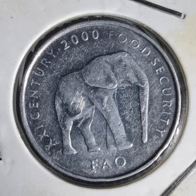 沼泽如烟--第1014场 - 索马里2000年5先令