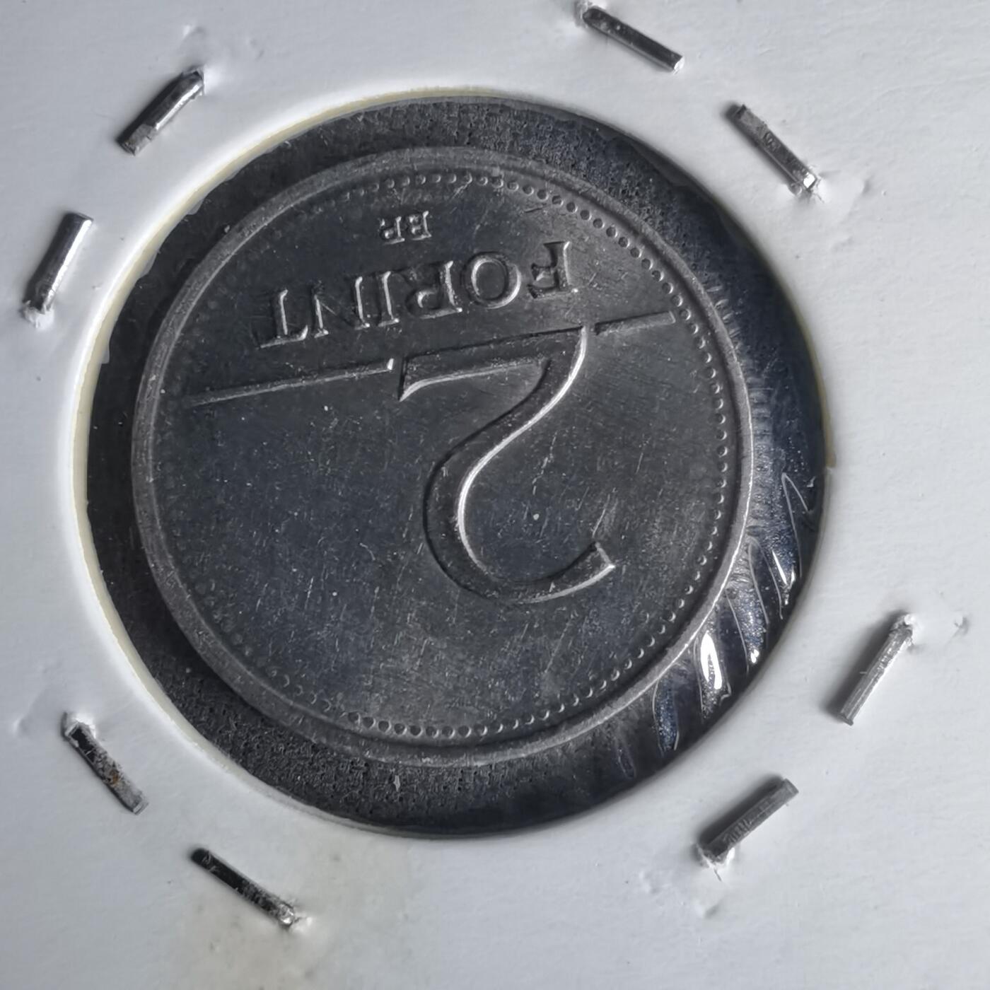 沼泽如烟--第1014场