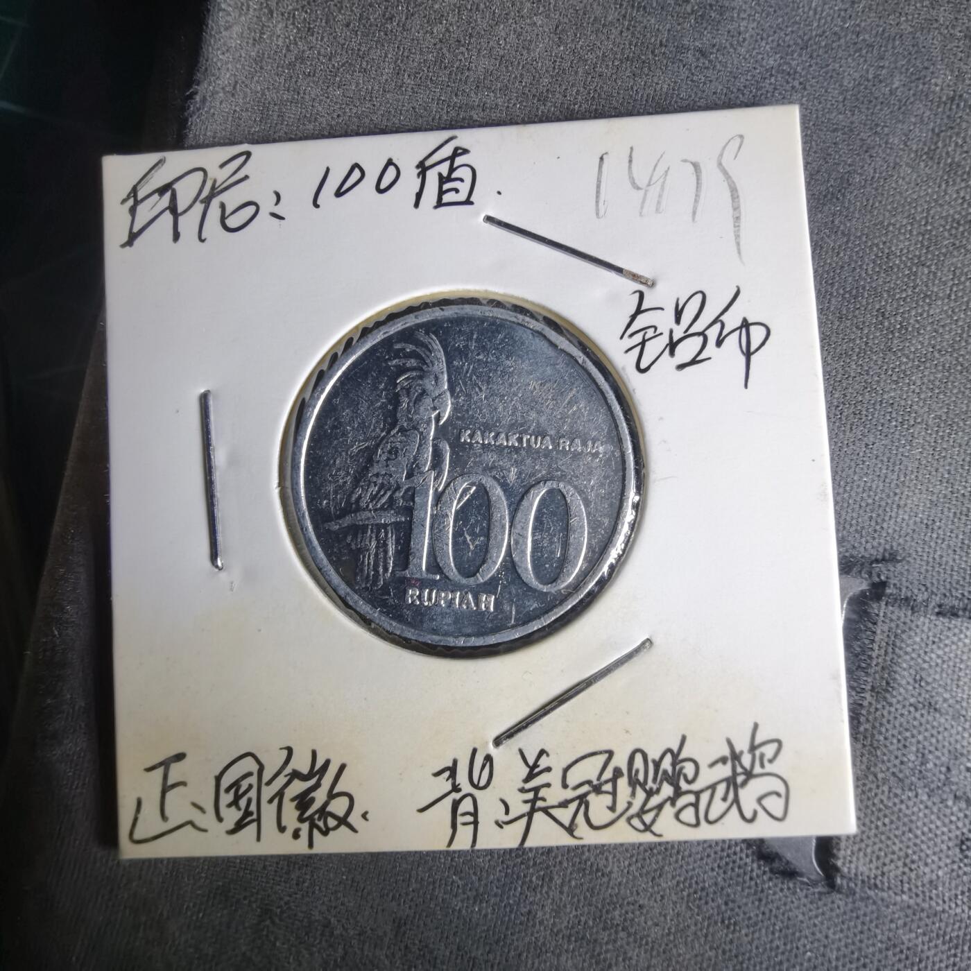 沼泽如烟--第1014场