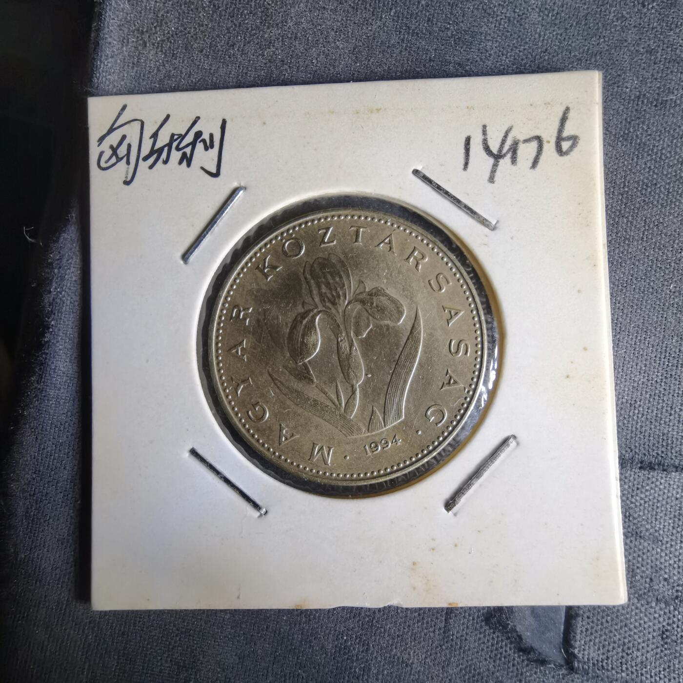 沼泽如烟--第1014场