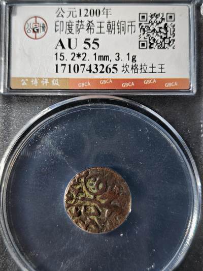 119期新疆红钱粟特钱币丝路钱币专场 - 印度萨希王朝铜币