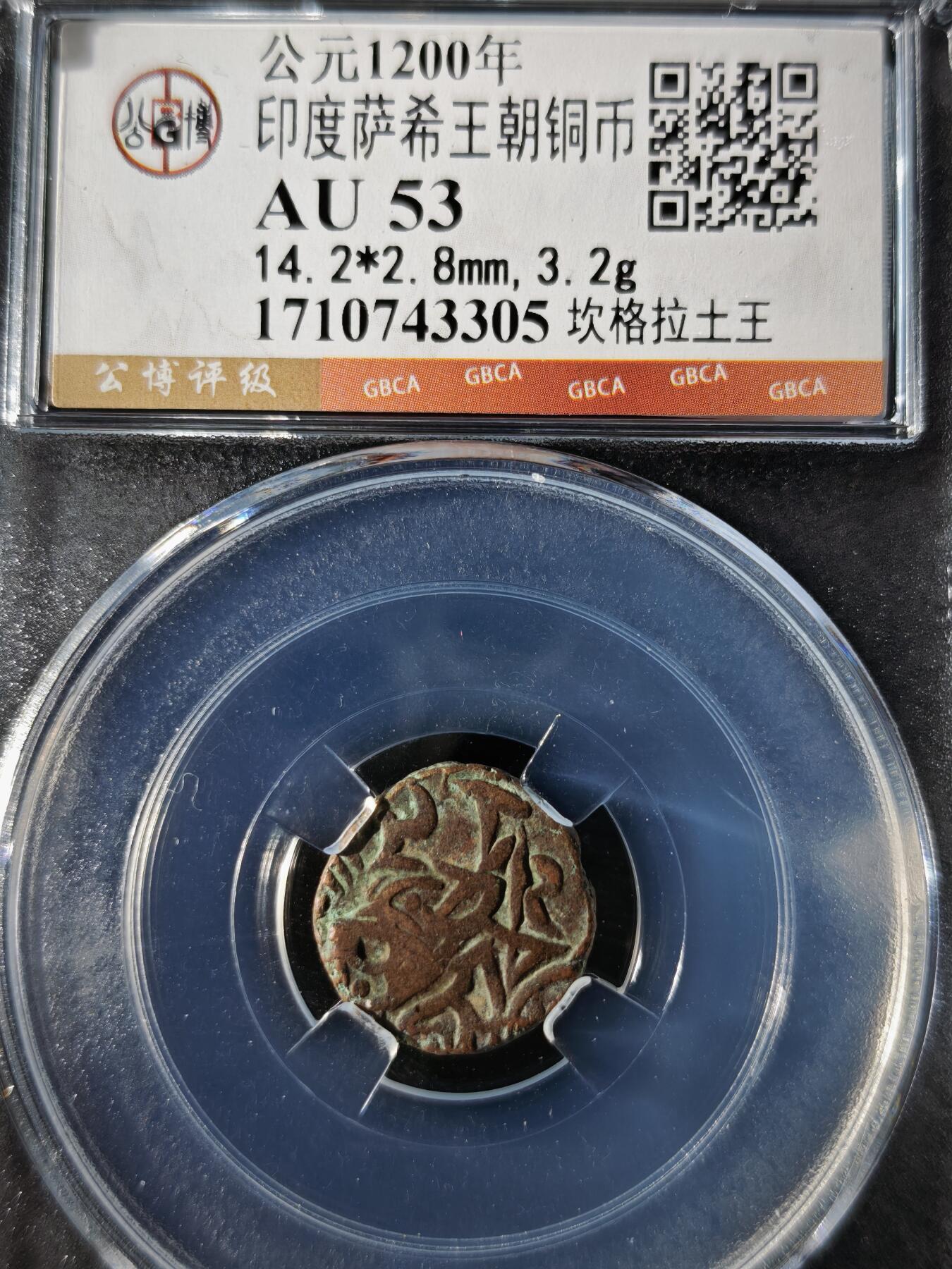 119期新疆红钱粟特钱币丝路钱币专场 印度萨希王朝铜币