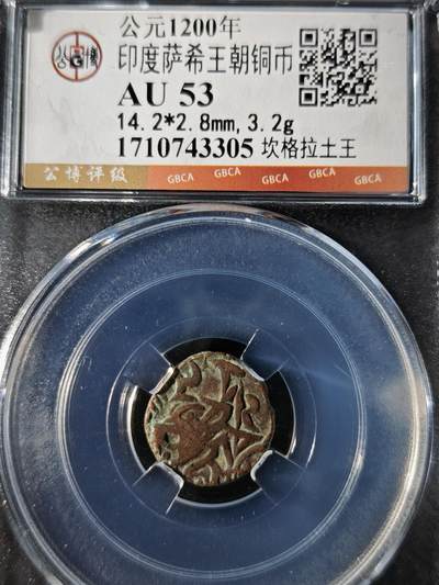 119期新疆红钱粟特钱币丝路钱币专场 - 印度萨希王朝铜币