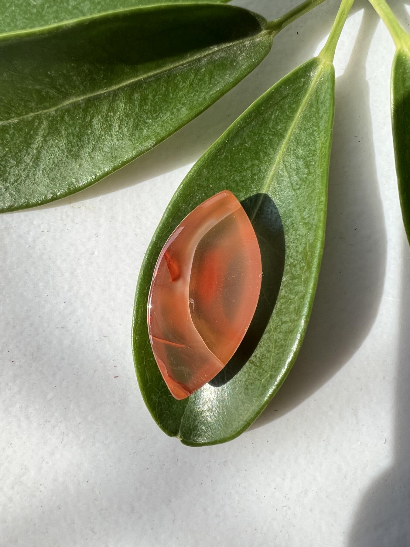 零元拍：南红玛瑙蛋面，有漂亮的草花。都是十多年前的存货了，长约 31MM，宽约 15MM，厚约 8MM约6克 ，因为拍照环境以及光线的变化，颜色以实物为准。