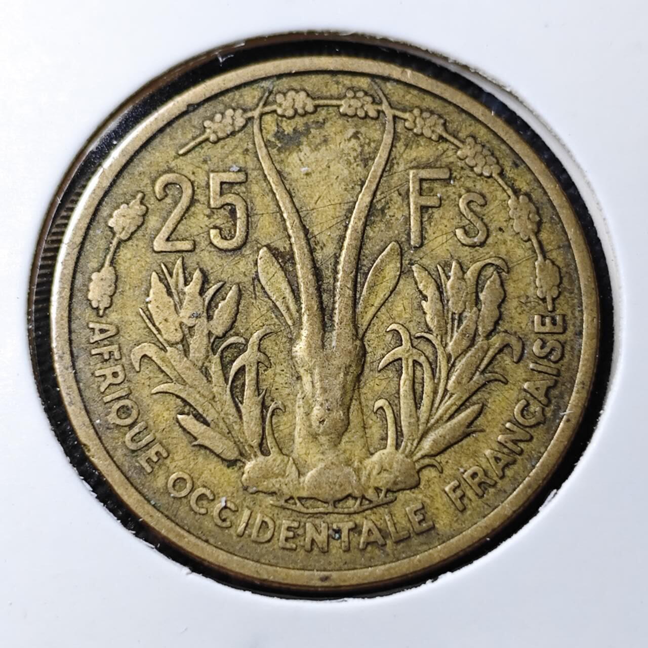 KK钱币收藏小铺   第403期 2月预留时间 周末发货