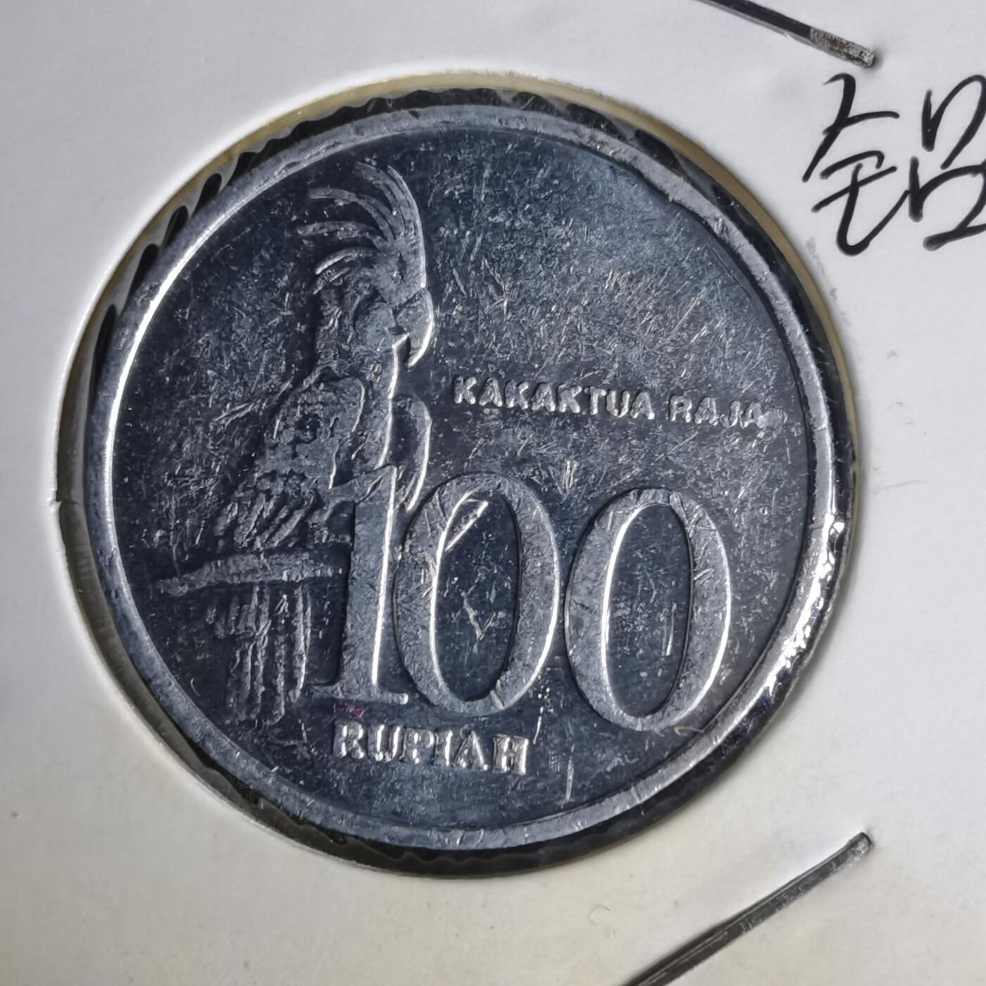 沼泽如烟--第1014场