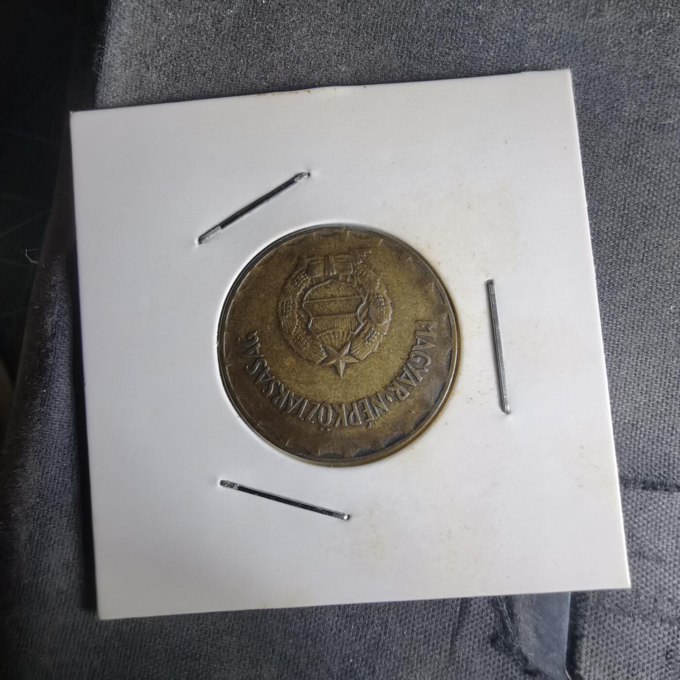 沼泽如烟--第1014场