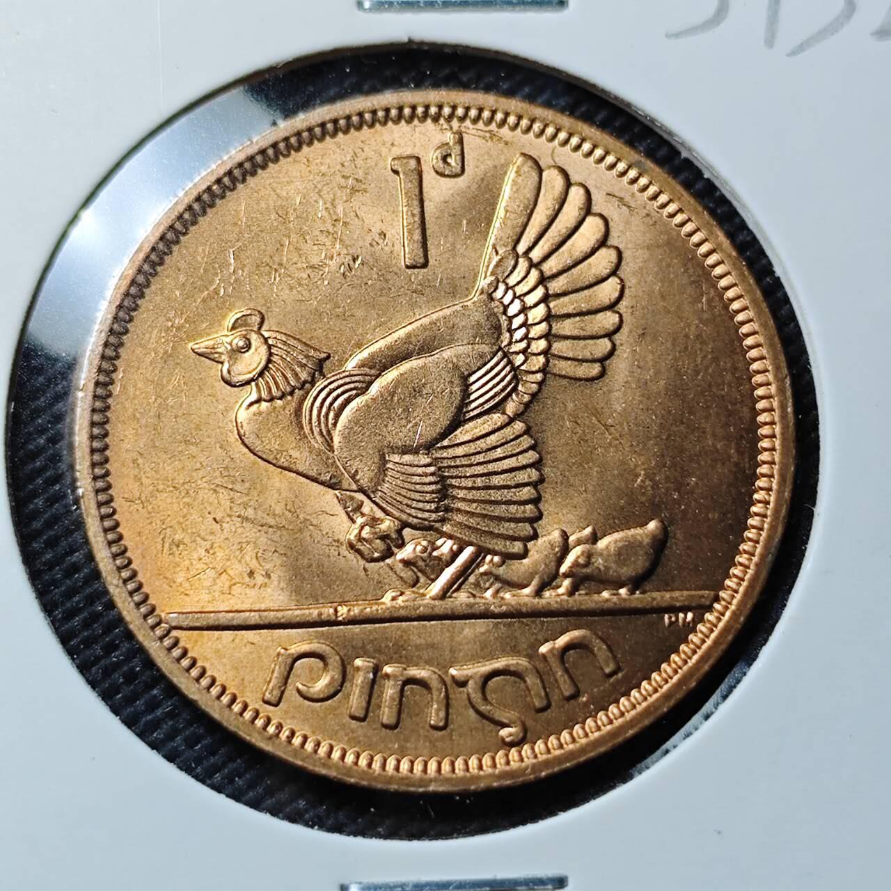 KK钱币收藏小铺   第403期 2月预留时间 周末发货  爱尔兰1便士 母鸡铜币 好品