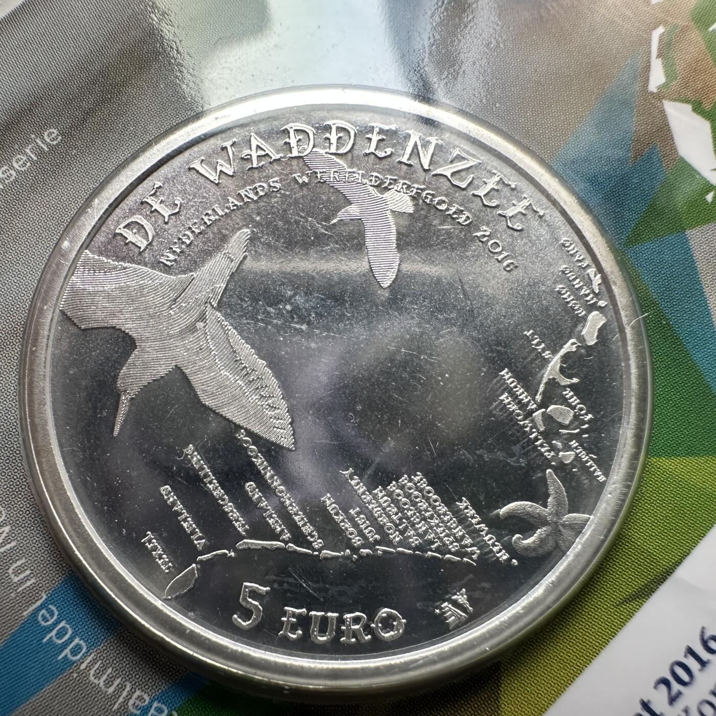 🌹外币初藏🌹🐯2026年第26场  各国纪念币专场 每周二四六晚8️⃣点 接代拍 荷兰2016年瓦登海世界遗产5欧元镀银纪念币，直径33mm，重10.5g