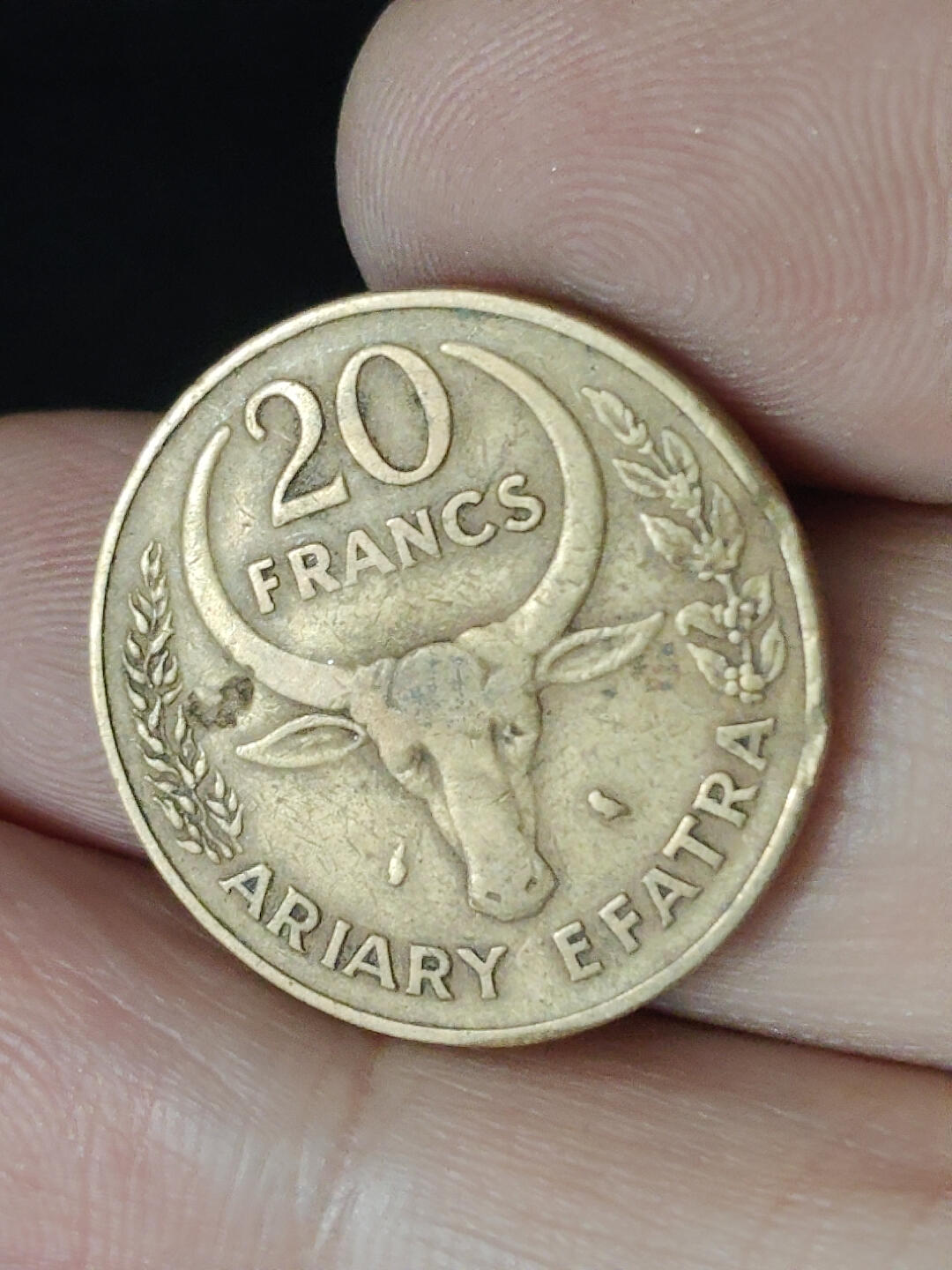 猩哥外币小铺➨【第219场】 法国