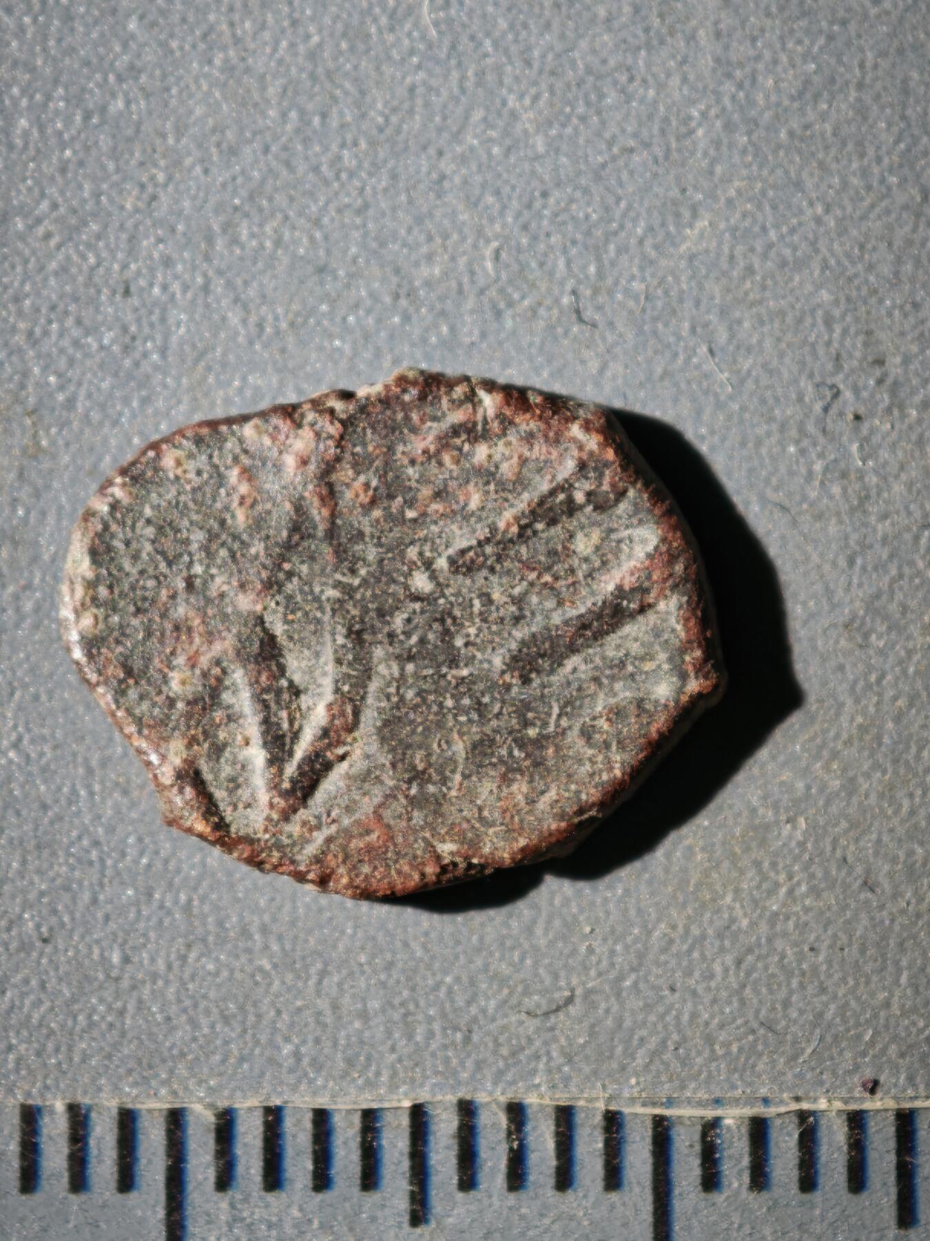 119期新疆红钱粟特钱币丝路钱币专场 A叶尔羌汗国铜币