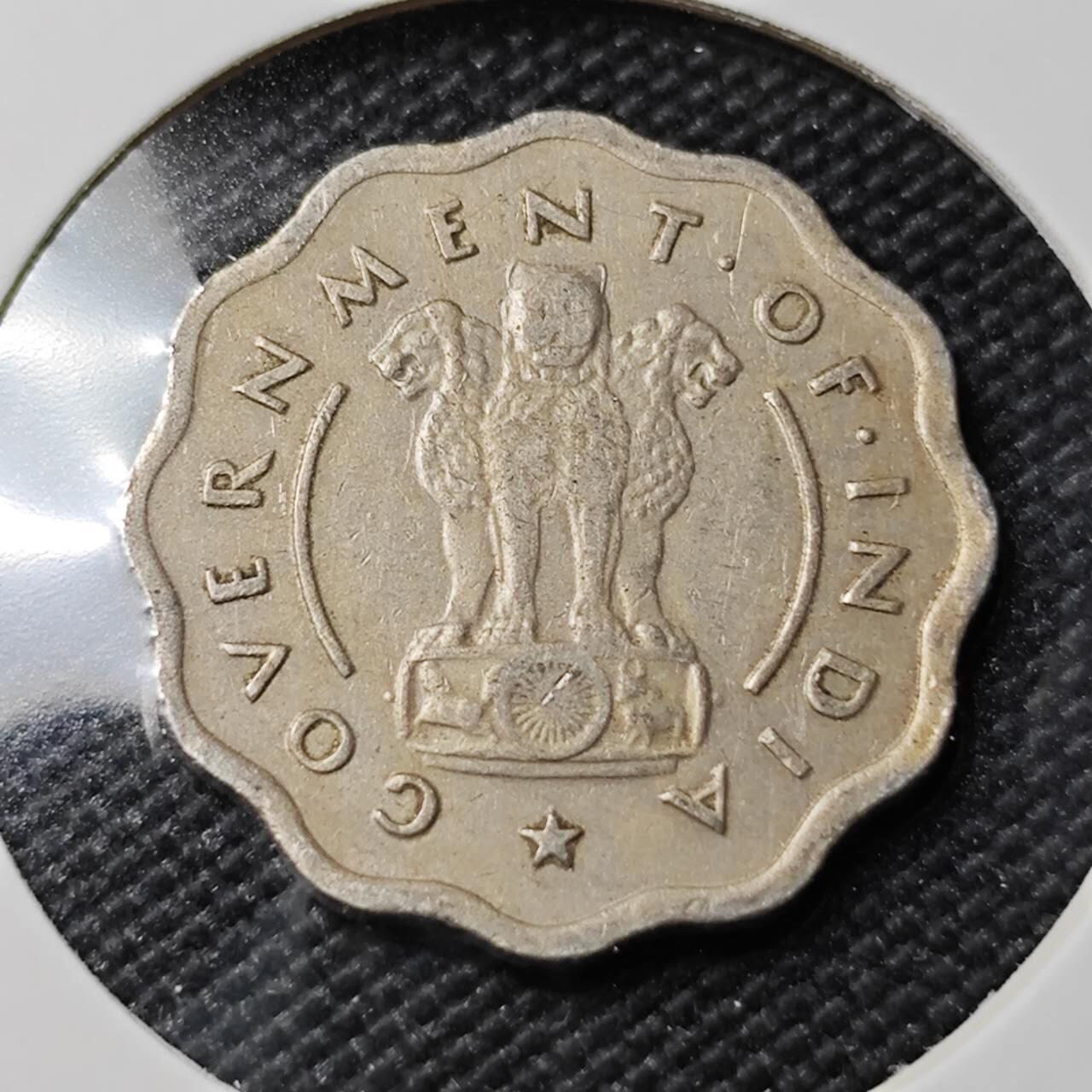 KK钱币收藏小铺   第402期 2月预留时间 周末发货  1954印度1安娜 瘤牛