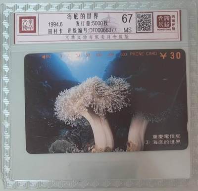 【琪哥网】评级磁卡综合场(132） - 【鸿通67】重庆海底世界散卡