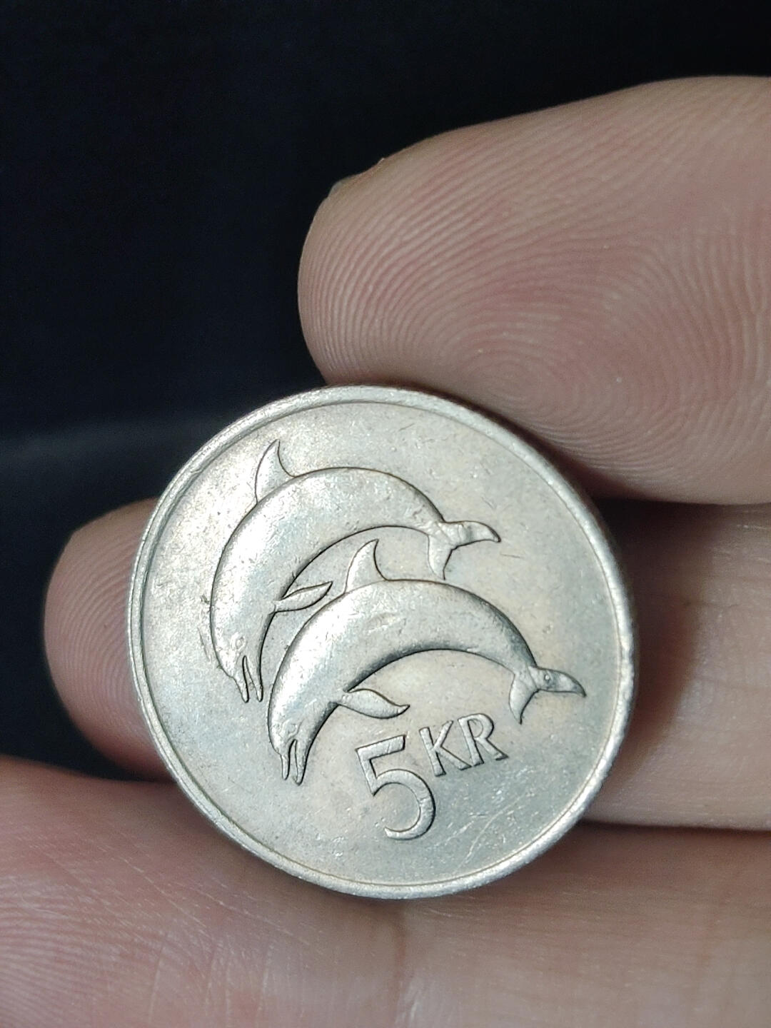 猩哥外币小铺➨【第219场】 冰岛