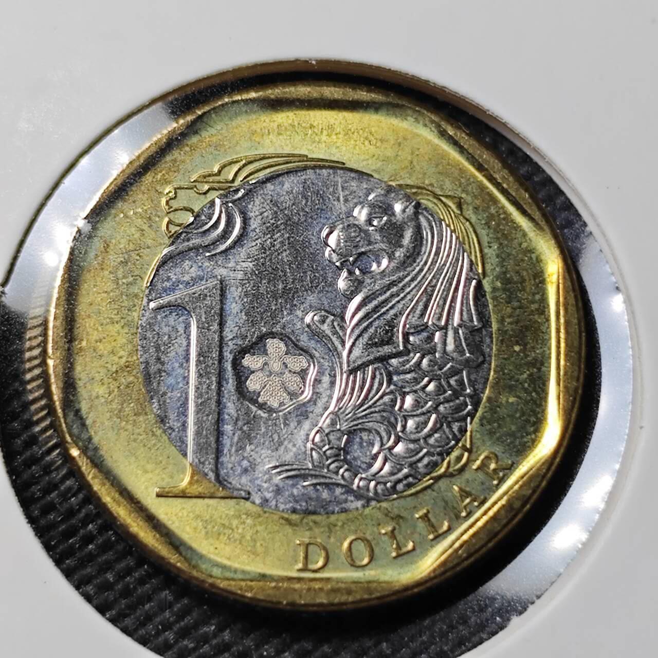 KK钱币收藏小铺   第402期 2月预留时间 周末发货