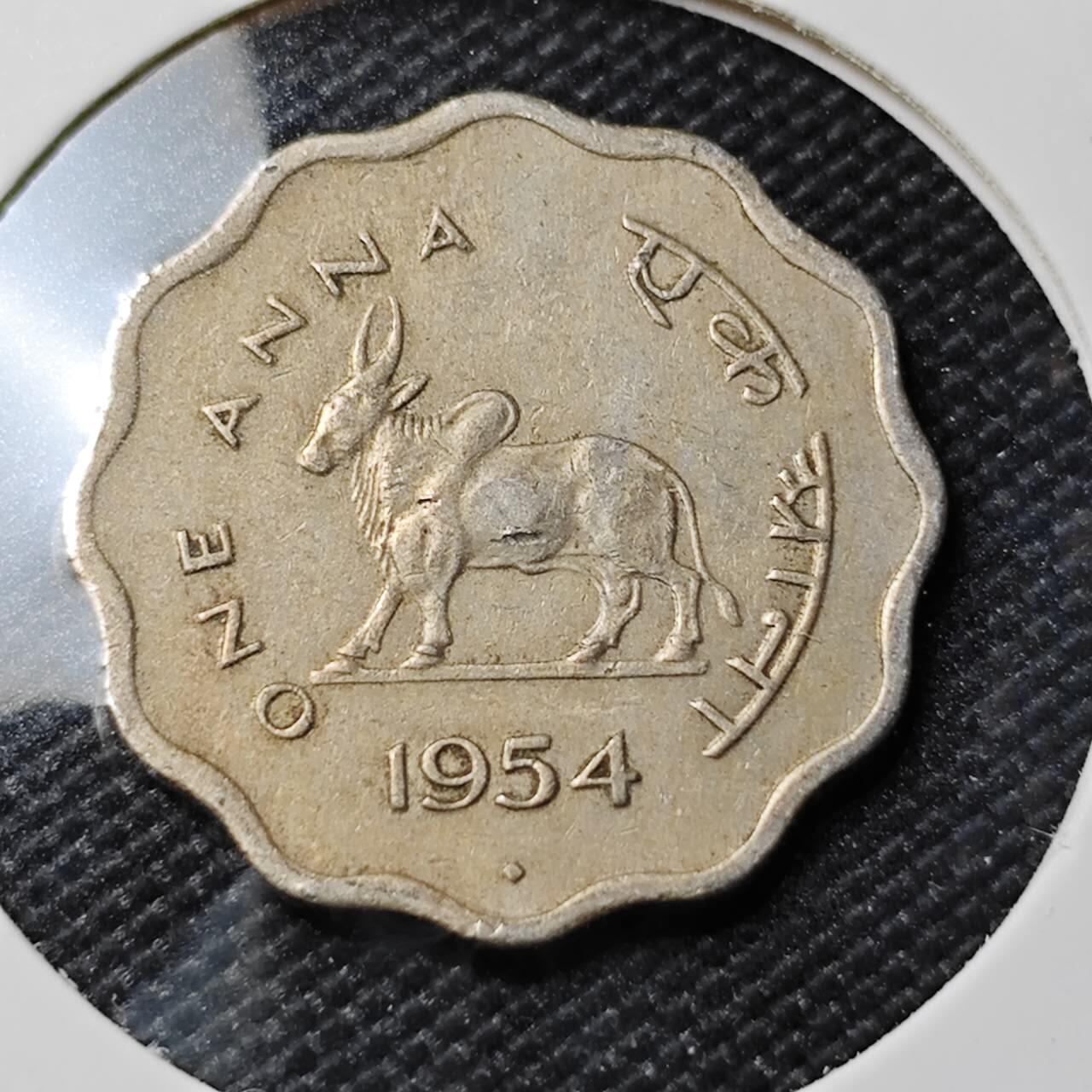 KK钱币收藏小铺   第402期 2月预留时间 周末发货  1954印度1安娜 瘤牛