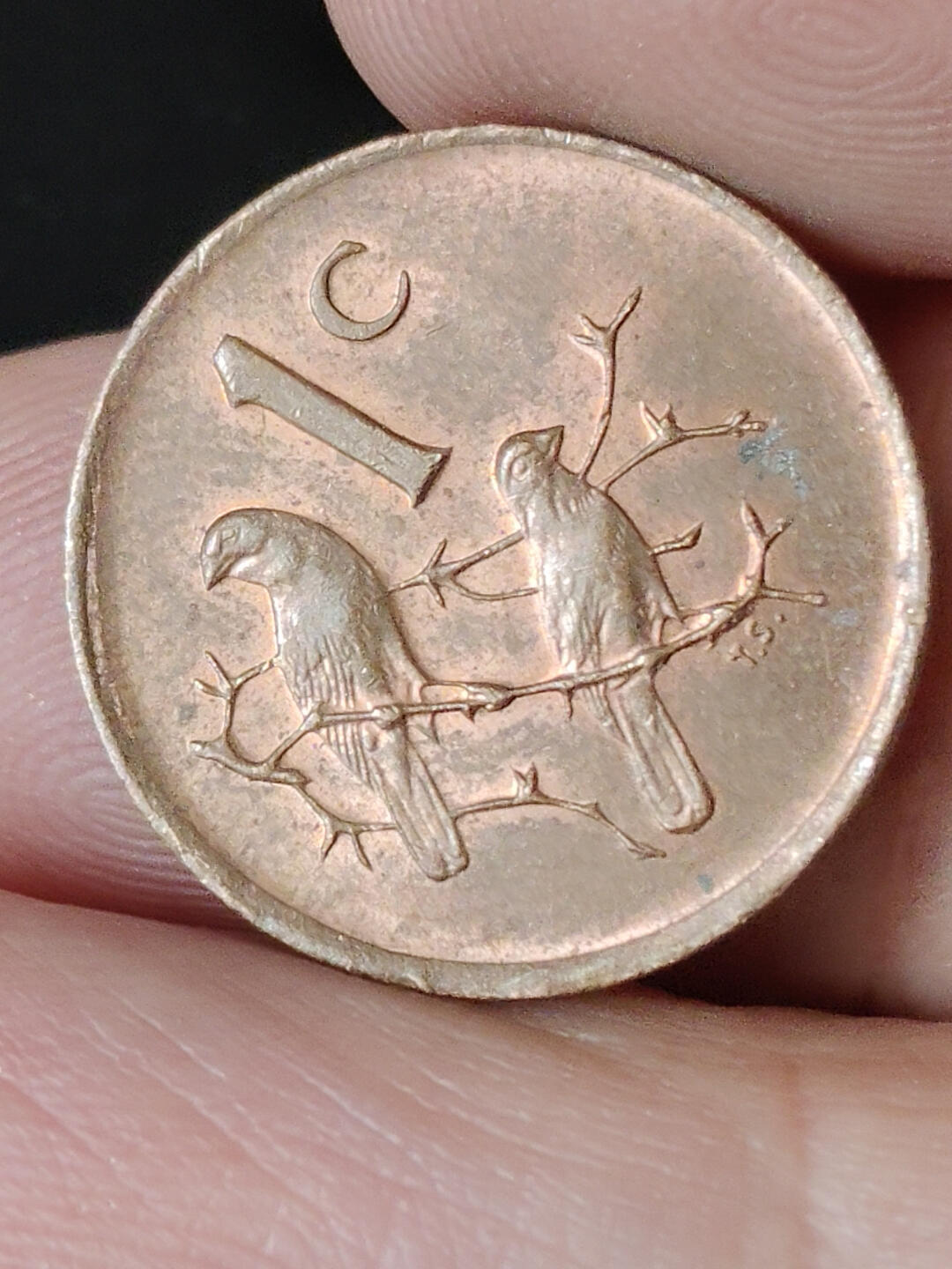 猩哥外币小铺➨【第219场】 南非