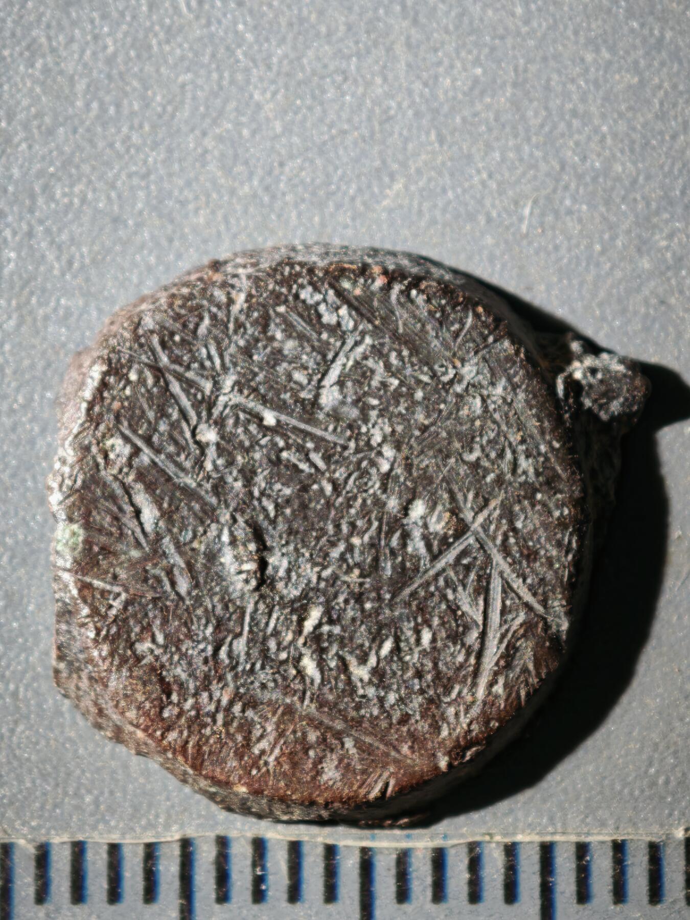 119期新疆红钱粟特钱币丝路钱币专场 A叶尔羌汗国铜币