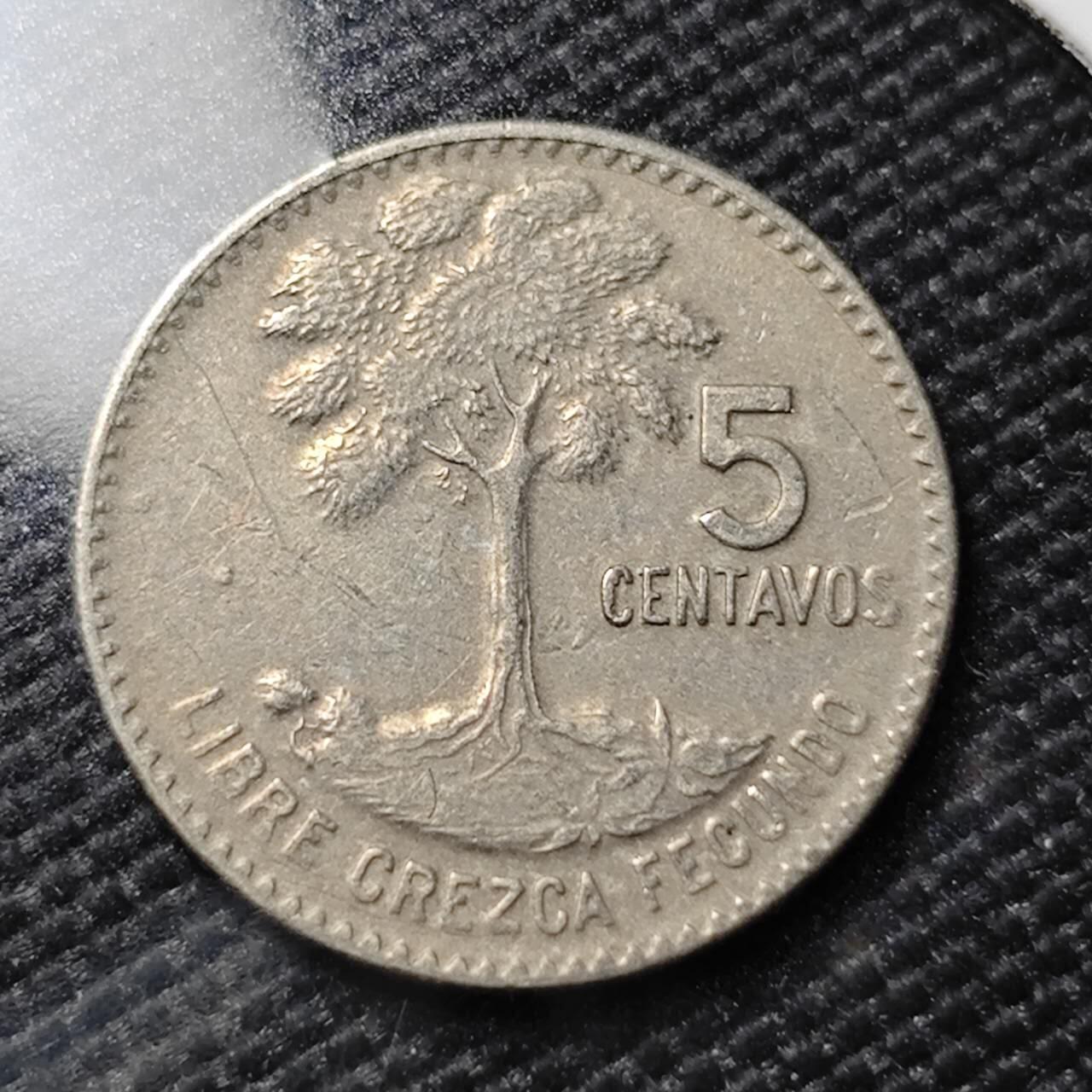 KK钱币收藏小铺   第402期 2月预留时间 周末发货