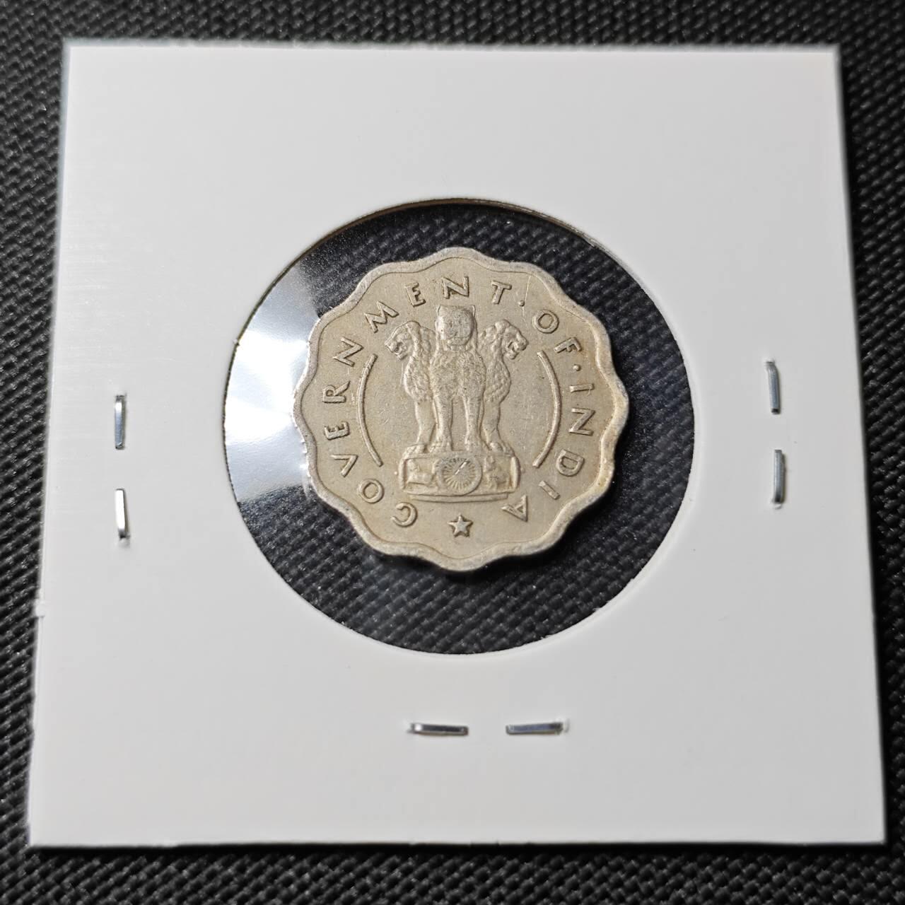 KK钱币收藏小铺   第402期 2月预留时间 周末发货  1954印度1安娜 瘤牛