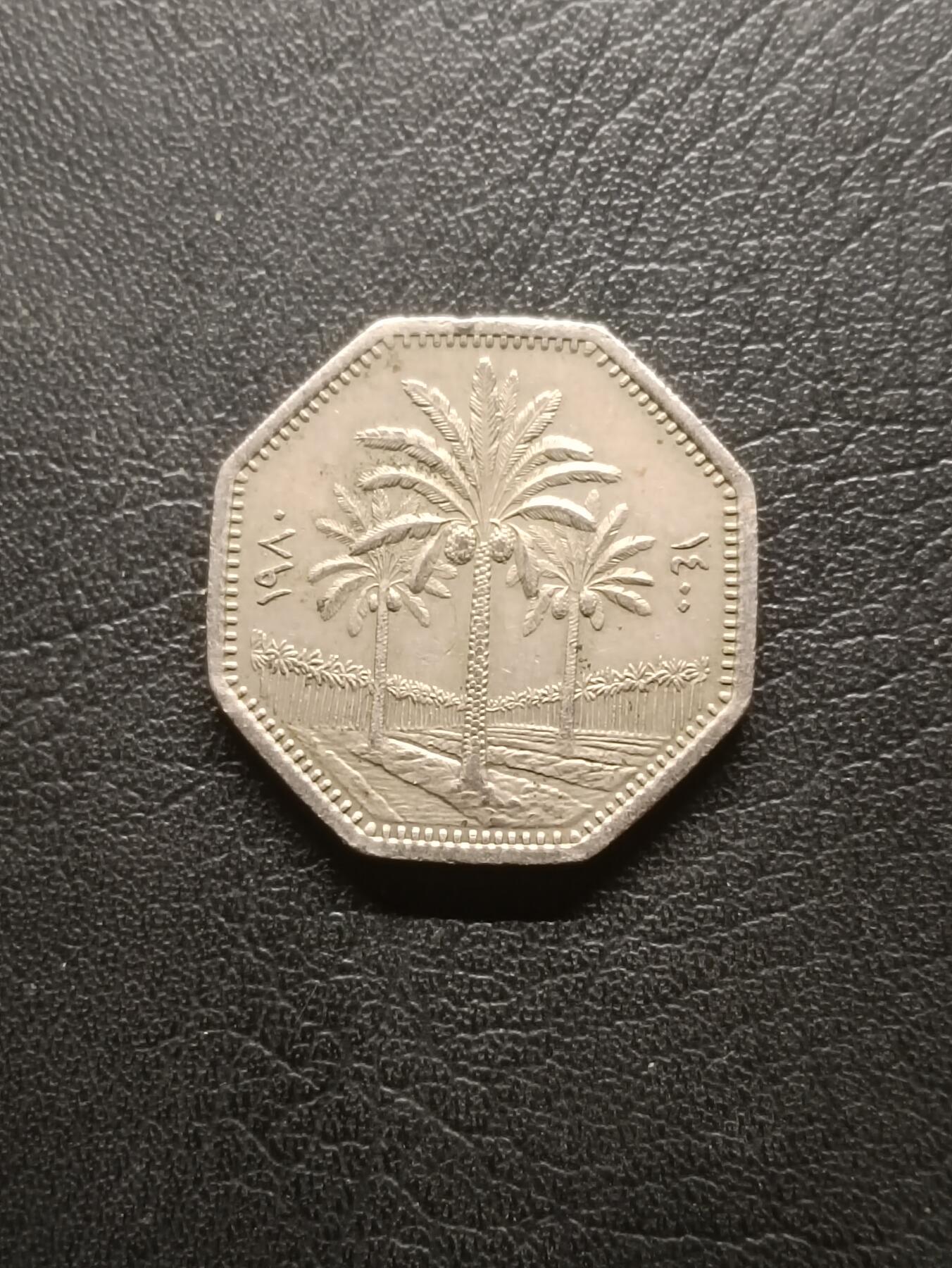 荟藏特别场次第六期——“社长的钢镚堆” 伊拉克1980年250菲尔 少见萨达姆时期铸币