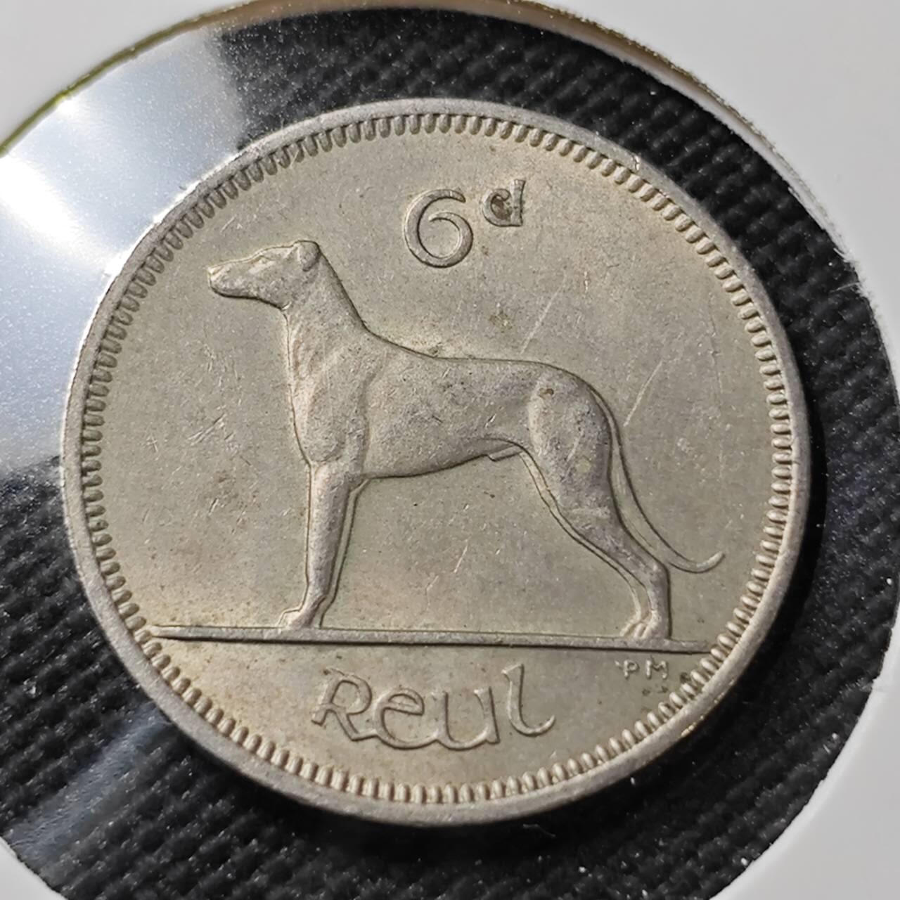 KK钱币收藏小铺   第403期 2月预留时间 周末发货  爱尔兰6便士铜币