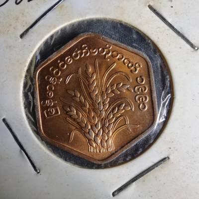 沼泽如烟--第1014场 - 缅甸