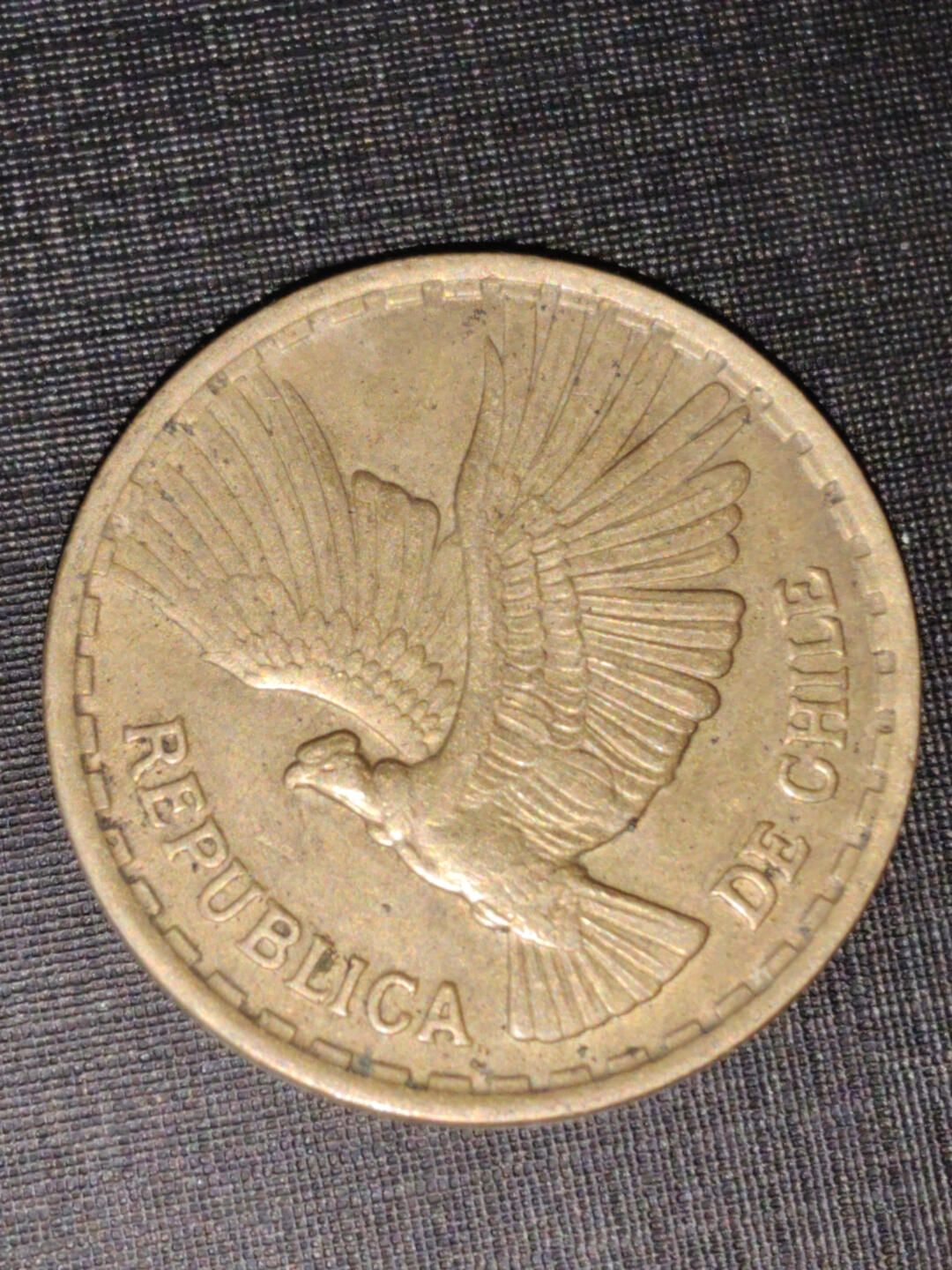 猩哥外币小铺➨【第219场】 智利